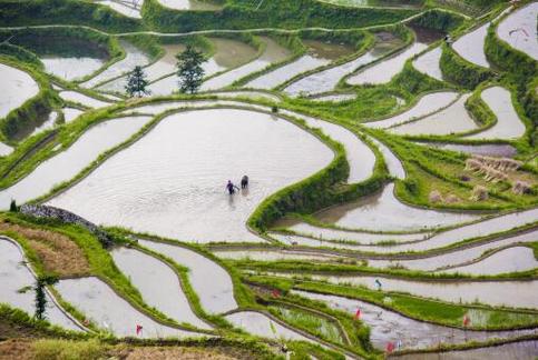 春耕種植什么農(nóng)作物-攝圖網(wǎng)