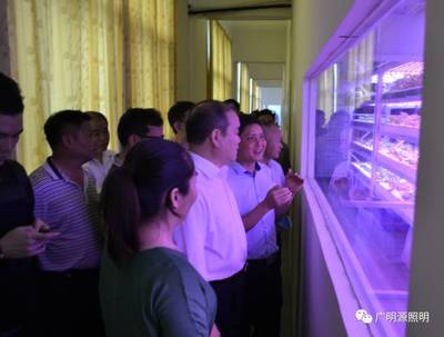 省人大領導蒞臨廣明源、廣東綠愛調研植物工廠項目