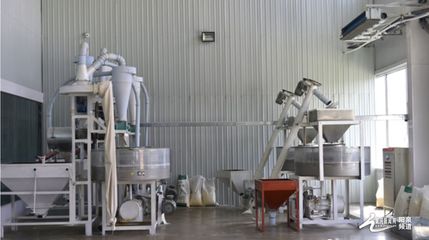 種植加工一體化 盂縣“辰厚、佳珍”產業發展持續發力
