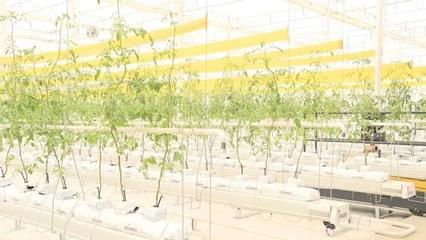緩解城市“菜籃子”難題!水木莫干山都市農業綜合體項目建設順利推進丨奮戰·全年紅