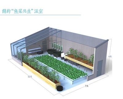 設計建造一個小型的“魚菜共生”溫室農場